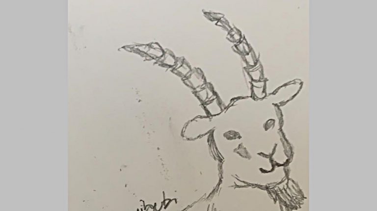 Follow the goat / Politica sì, ma prima di tutto viene l’uomo