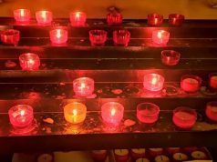 Tragödie in Zürich: 90-jährige Frau und ihr Hund sterben qualvoll bei Wohnungsbrand