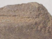 Lugano, giovane ma dal magazzino fornito: spacciatore 21enne in manette