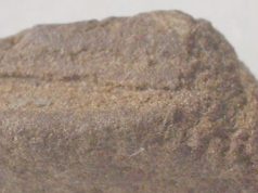 Lugano, giovane ma dal magazzino fornito: spacciatore 21enne in manette