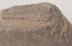 Lugano, giovane ma dal magazzino fornito: spacciatore 21enne in manette