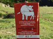 Alpeggi da tutelarsi e lupi in casa: oltre 300 alla marcia di Bellinzona