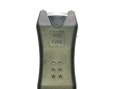 Sisikon (Kanton Uri): Deutscher belästigt Frauen am Alplersee, Polizei setzt Taser ein