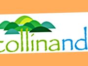 “Scollinando” edizione 2026, in migliaia sui percorsi tra cultura ed ecologia