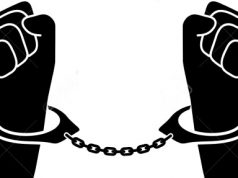 Drei Nordafrikaner nach nächtlichen Diebstählen festgenommen