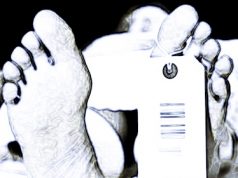 Asylbewerber tot aus Zugersee geborgen