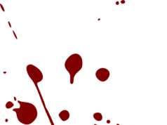 Schock in Burgdorf: 43-jähriger Ukrainer in Wohnung erstochen, 49-jähriger Pole wegen Mordes angeklagt