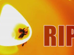 Ein Herz schlägt nicht mehr: Tragischer Traktor-Unfall erschüttert Ried-Mörel