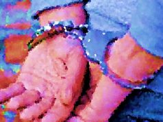 Truffe agli anziani: colpo riuscito a Gordola, presi dopo cinque minuti