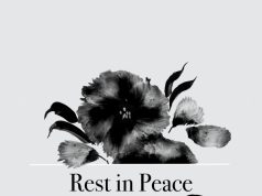 Tragisches Unglück in Avegno: Fahrerin eines weißen BMW stirbt bei Kollision