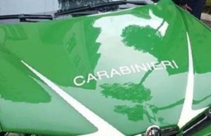 Discariche abusive tra Varese e cintura: doppio sequestro, tre indagati