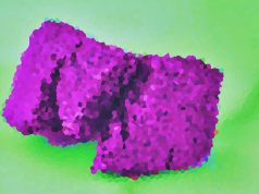 Verbania (Vco): lo fermano, scappa, butta la droga. Manette e carcere