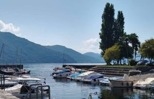 Muralto e dintorni, cianobatteri a profusione nel Verbano: occhio…