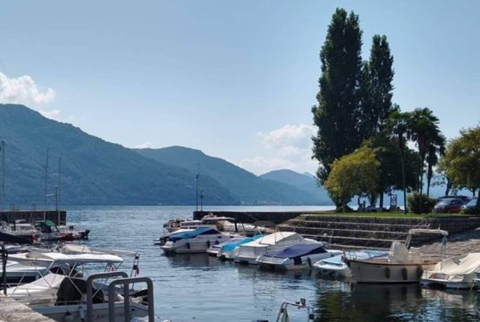 Muralto e dintorni, fioriture di cianobatteri nel Verbano: occhio…