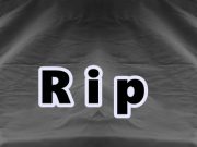 Tragische Klarheit im Doppelfund von Gnosca: Sie starb zuerst, er folgte ihr in den Tod