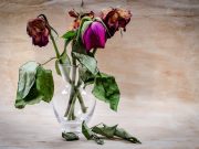 Schock in Boltigen: 37-jähriger Biker rast frontal in Auto und stirbt sofort