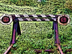 Polizia modello “sussidiario”, troppe opposizioni: i sogni muoiono all’alba