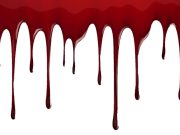 Domodossola (Vco), 83enne travolta ed uccisa da un autoarticolato