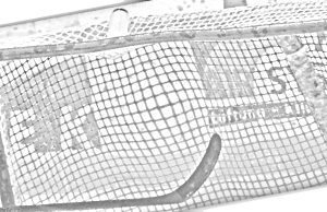 Hockey Ml / “Play-off”: Thun e Seewen in semifinale, fuori il FranchesMontagnes