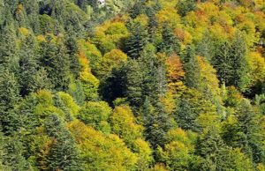 Fuochi all’aperto, divieto revocato in Ticino (ma non nel Grigioni italiano)