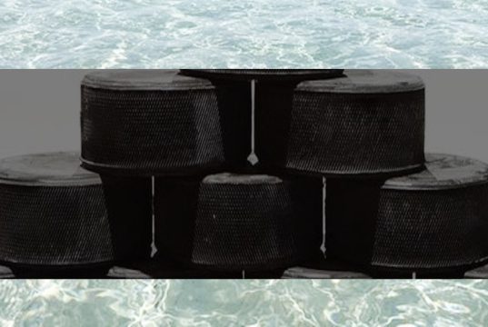 Hockey Nl / Psicodramma Davos, il titolo 2025-2026 al FriborgoGottéron