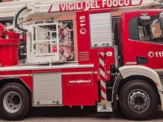 Verbania (Vco): albero si abbatte al suolo, colpita (e ferita) una persona