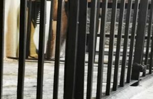 Predoni di appartamento da Cuba (via Italia) e dal Cile: fine corsa a Chiasso