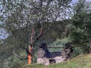 Calanca frazione Cauco: fulmine su un albero, stalla divorata dal rogo