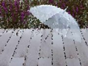 Maltempo in arrivo, il concerto dell’Osi si sposta (e non sarà “open air”)