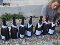 Rumänische Angreiferin beisst Polizisten: Drei Personen im Spital nach Gewaltakt