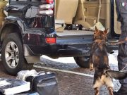 Maxicarico di hascisc in frontiera a Chiasso-Brogeda, ucraino in manette