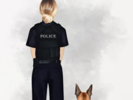 Hochdorf (Kanton Luzern): Diensthund Kyro spürt zwei marokkanische Diebe bei Autos auf