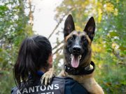 Rumänische Diebe knacken Parkautomaten bei IKEA: Diensthund Malouk stellt Täter