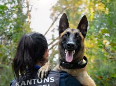 Rumänische Diebe knacken Parkautomaten bei IKEA: Diensthund Malouk stellt Täter