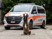 Italiener und Mann ohne Wohnsitz in Autogarage: Diensthund Ike stoppt Diebstahl