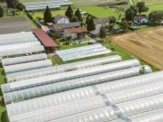 Agriturismo oggi e domani, lunedì a Sant’Antonino la “Giornata cantonale”