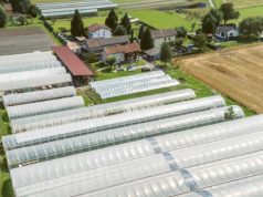 Agriturismo oggi e domani, lunedì a Sant’Antonino la “Giornata cantonale”