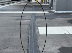 Colpo di stiletto / Ffs a Lugano, c’è un Paul Klee in esposizione (e gratis)