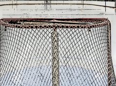 Hockey Nl / Davos in scioltezza, primato rafforzato. Losanna corsaro