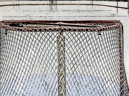 Hockey Nl / Davos in scioltezza, primato rafforzato. Losanna corsaro