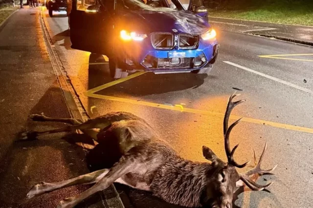 nxuw3vl1v23tadfj0j2x