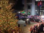 Tempo di festività, e l’albero acceso fa già Natale in… Paradiso