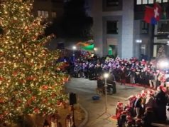 Tempo di festività, e l’albero acceso fa già Natale in… Paradiso