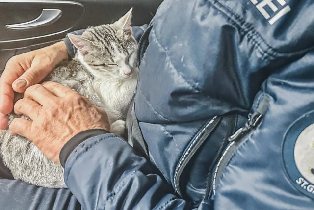 wppi-image-polizei-news584130233_18521087953068369_6444193592794927295_n