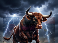 Schweizer Landwirt bei Stallarbeit schwer von Stier verletzt