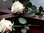 Tragödie in Orbe: 13-jähriges Schweizer Mädchen stirbt nach schwerem Unfall