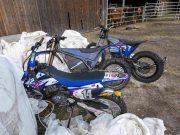 Vier 17-jährige (drei Tunesier, ein Marokkaner) klauten 9 Motorräder: in Frankreich festgenommen