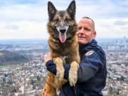 Wieder ein Nordafrikaner: Diensthund Gio stellt Einbrecher auf frischer Tat fest