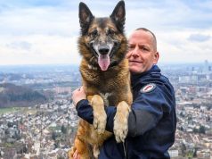 Wieder ein Nordafrikaner: Diensthund Gio stellt Einbrecher auf frischer Tat fest