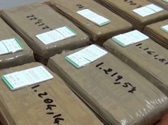 Ticino-Marche, droga a torrenti: sgominata “gang” marocchino-albanese